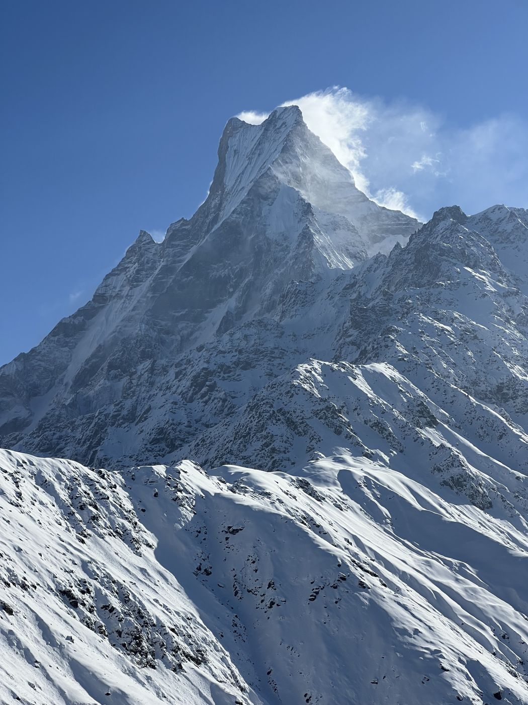 Mardi Himal Trek 4 Days — photo 3