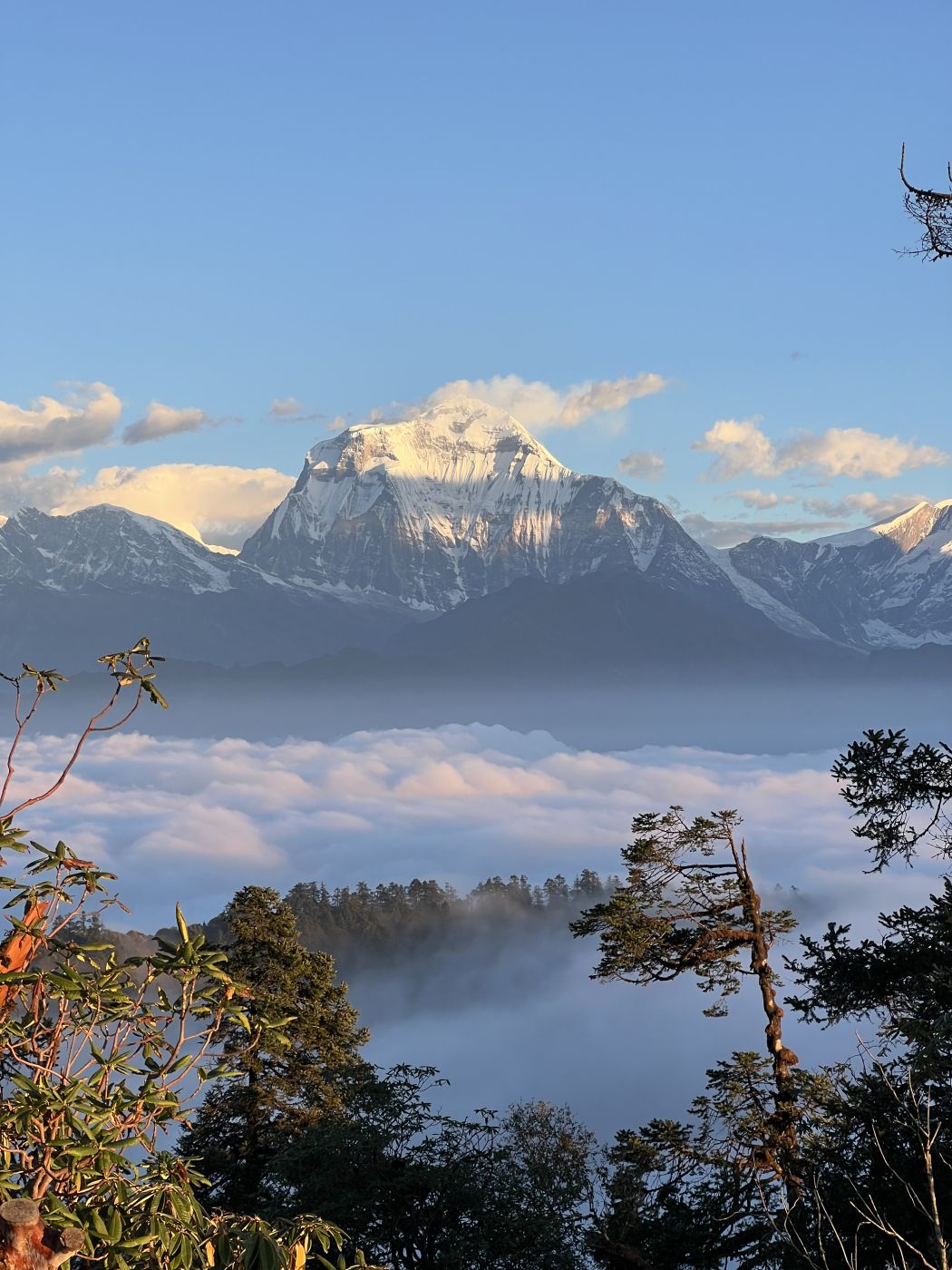 Kokhe Danda Trek via Poon Hill & Mohare Danda – 3 Days from Pokhara — photo 2