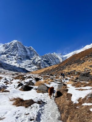 10 Days Annapurna Basecamp Trek photo 7