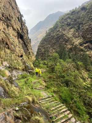 North Annapurna Base Camp Trek – 5 Days photo 6