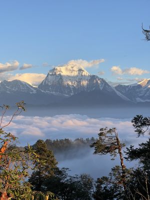 Kokhe Danda Trek via Poon Hill & Mohare Danda – 3 Days from Pokhara photo 2