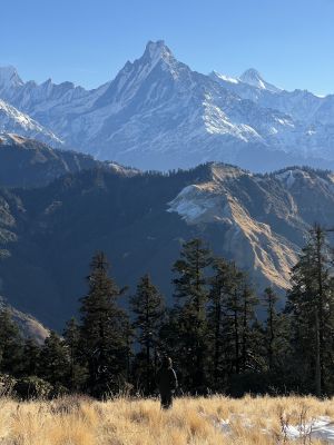 Kokhe Danda Trek via Poon Hill & Mohare Danda – 3 Days from Pokhara photo 4