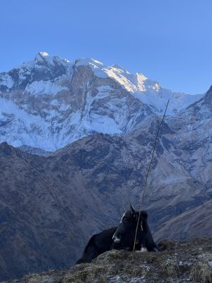 Khopra Ridge Trek — 5 Days from Pokhara photo 4