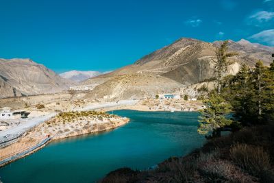 Titi Lake Mustang
