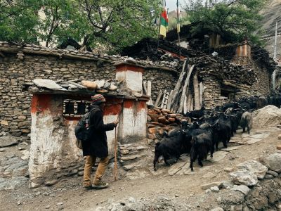 Lubra Village Mustang