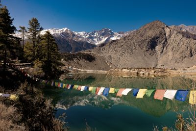 Titi Lake Mustang