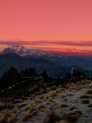 Ghorepani Poonhill