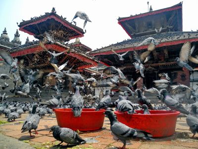 Sunrise & Everest Base Camp Flight: 5 Days Luxury Sunrise & Helicopter Adventure photo 3