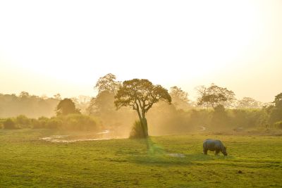 Chitwan Safari